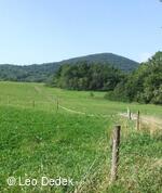 Rozhledna na sopce Velký Roudný