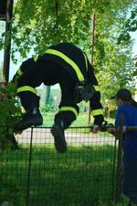 Dny otevřených dvěří SDH Trnávka