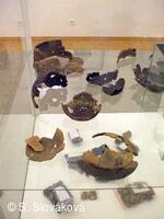 Z DĚNÍ VE MĚSTĚ