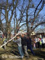 * Z DĚNÍ VE MĚSTĚ